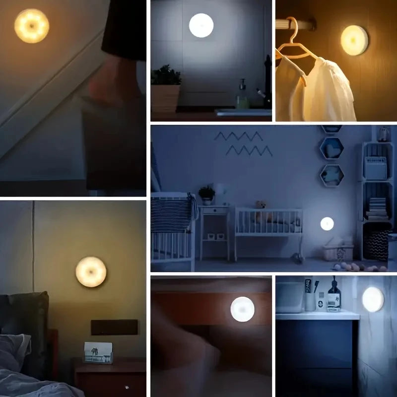 Meridian NightGuard Motion Sensor Light
