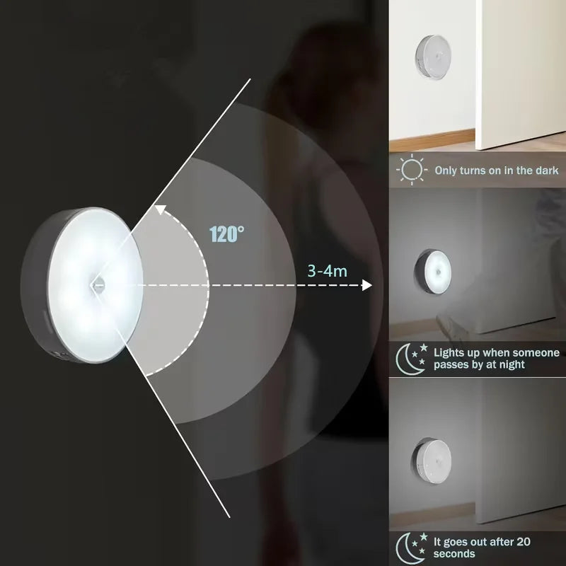 Meridian NightGuard Motion Sensor Light