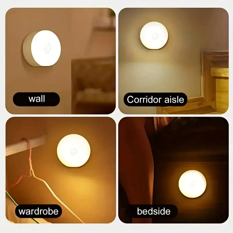 Meridian NightGuard Motion Sensor Light