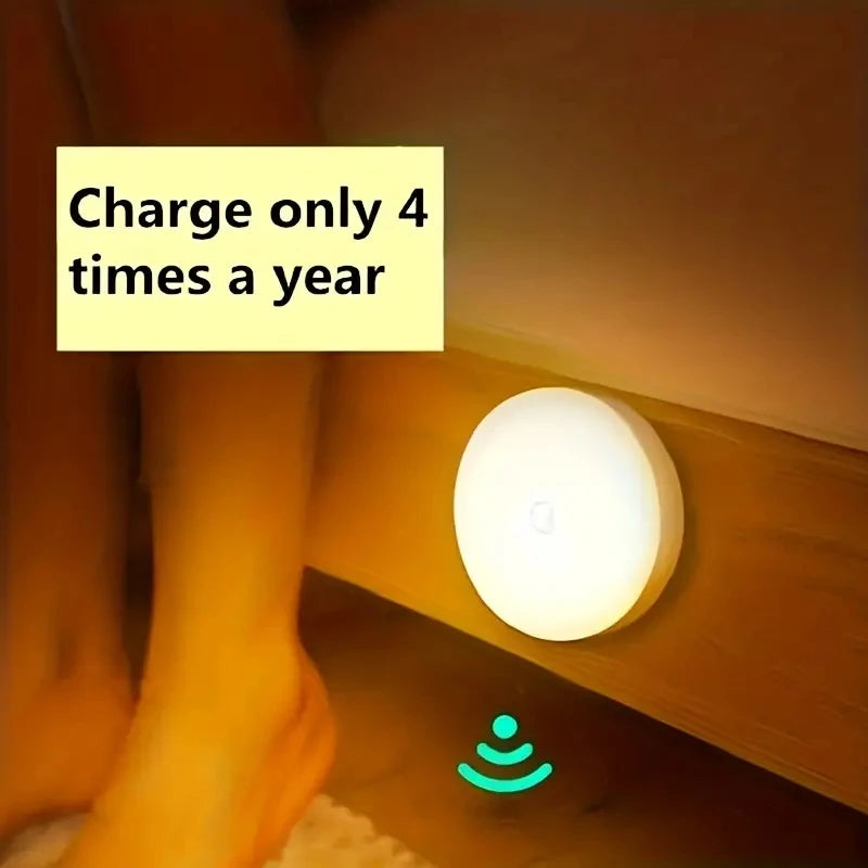 Meridian NightGuard Motion Sensor Light
