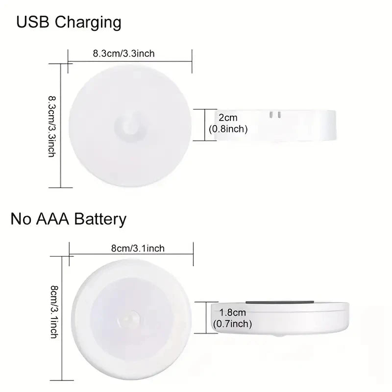 Meridian NightGuard Motion Sensor Light