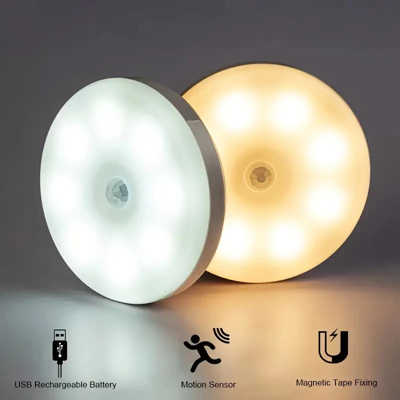 Meridian NightGuard Motion Sensor Light