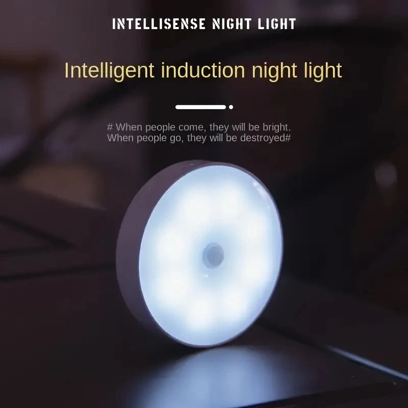 Meridian NightGuard Motion Sensor Light