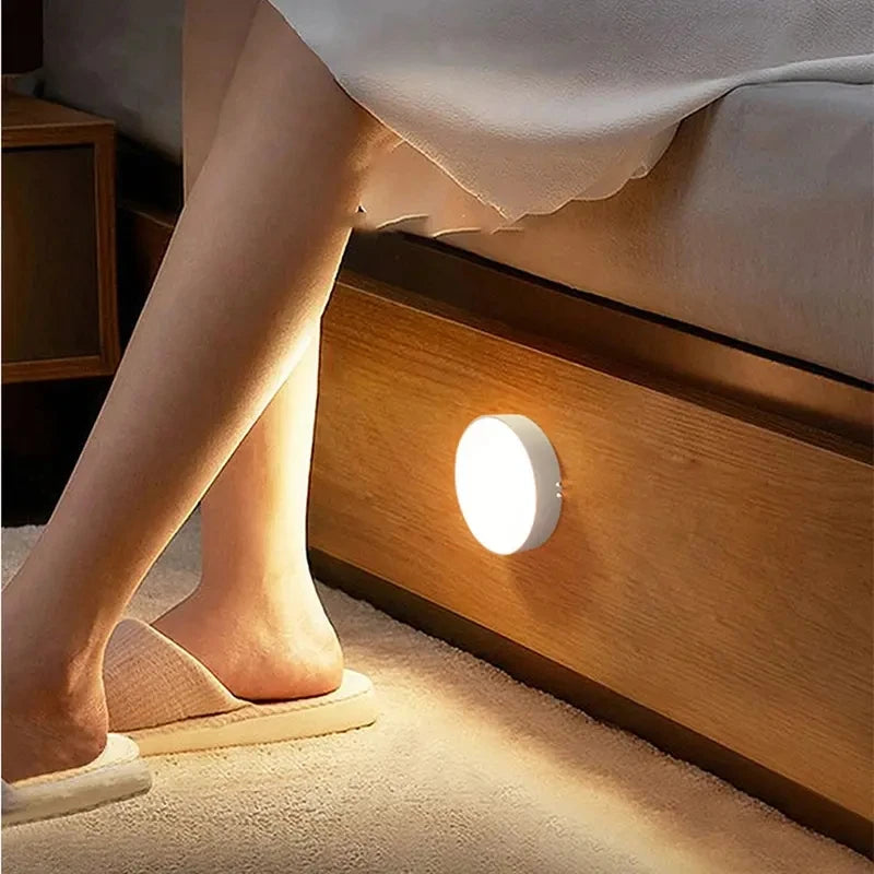 Meridian NightGuard Motion Sensor Light