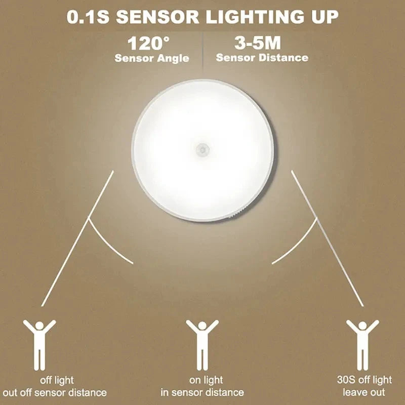 Meridian NightGuard Motion Sensor Light